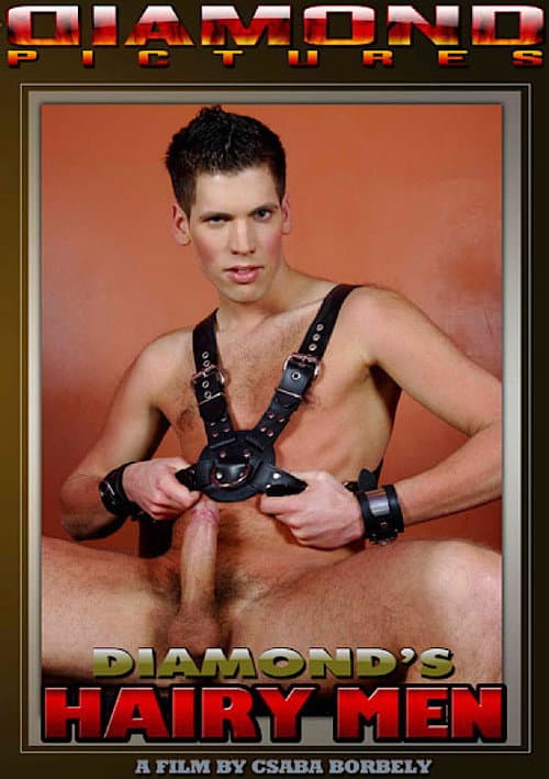 Diamond's Hairy Men 11 poster
