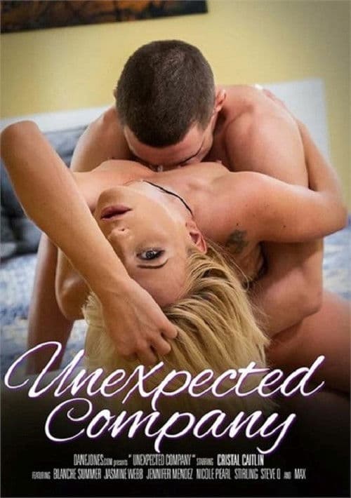 Unexpected Company poster