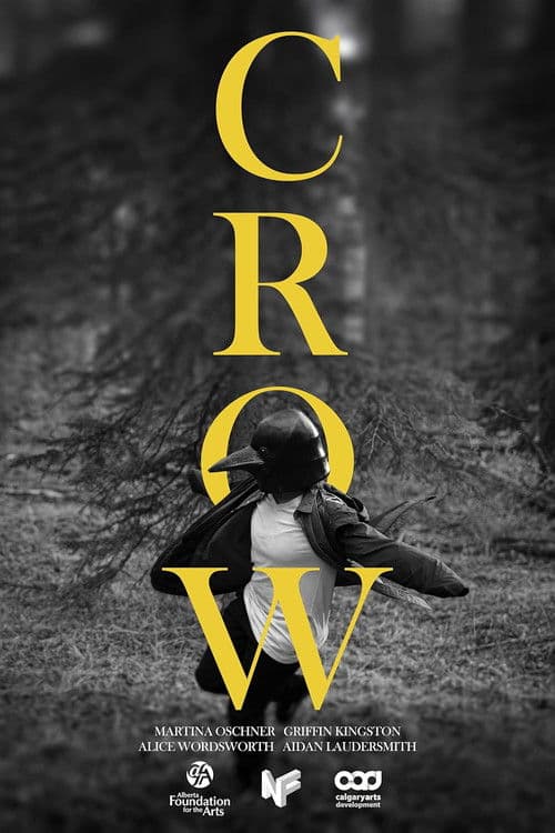 Crow poster