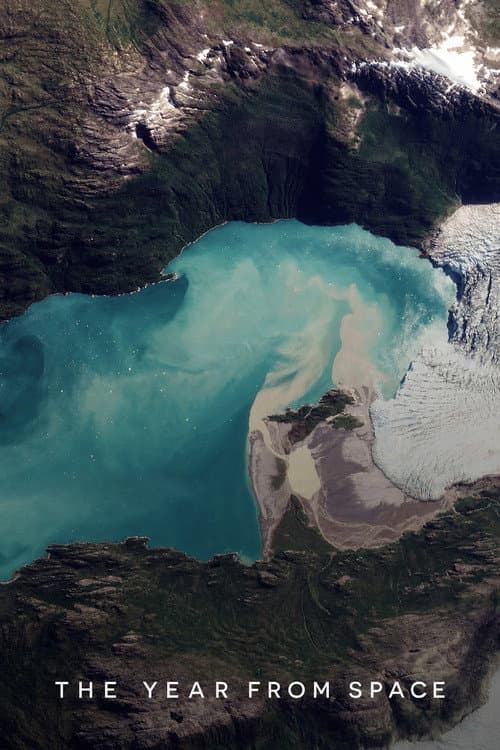 The Year from Space