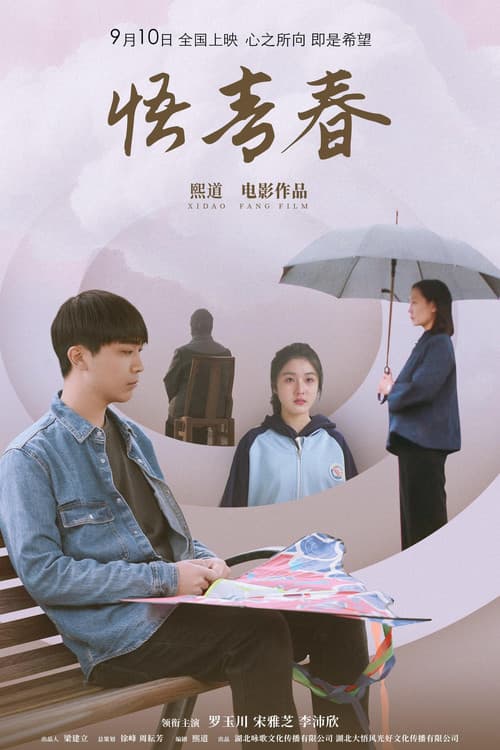 Perception of Youth poster