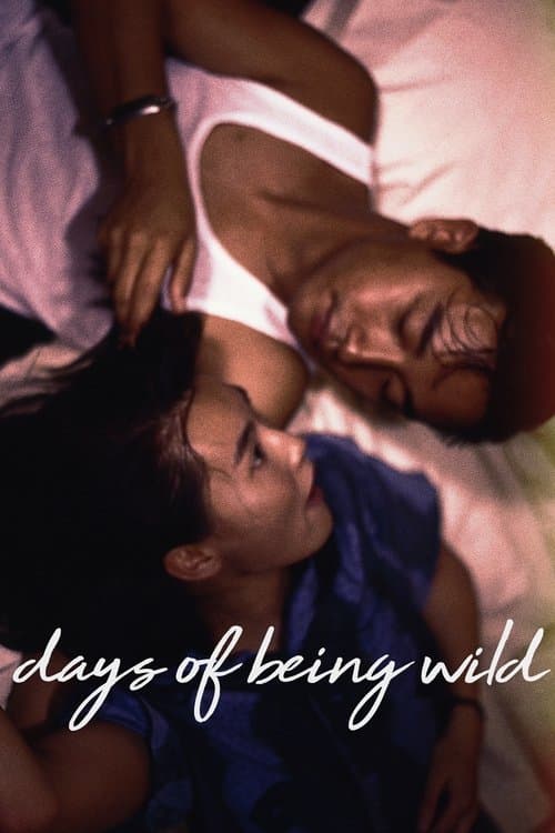 Days of Being Wild poster