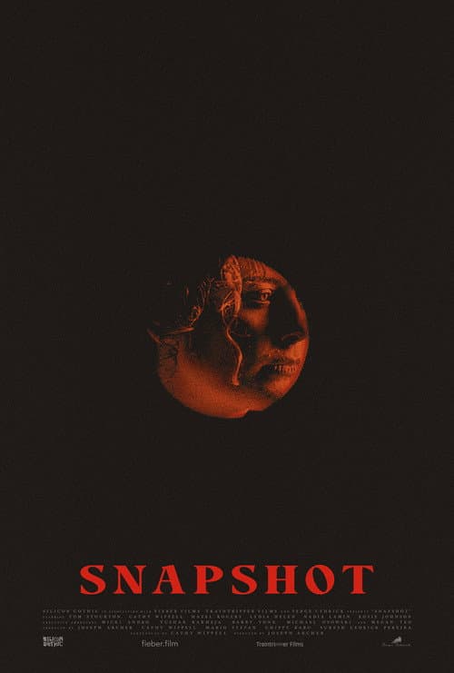 Snapshot poster