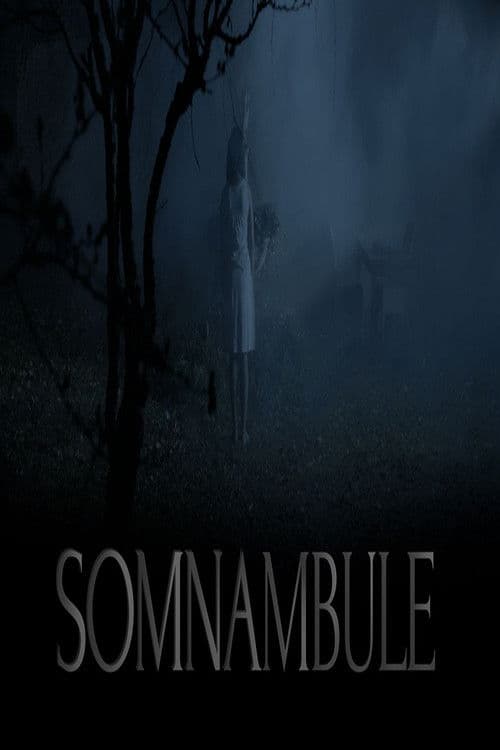 Somnambule poster