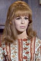 Diahn Williams profile photo