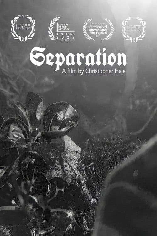 Separation poster