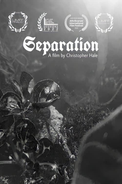 Separation poster