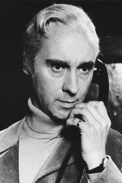 Senne Rouffaer profile photo