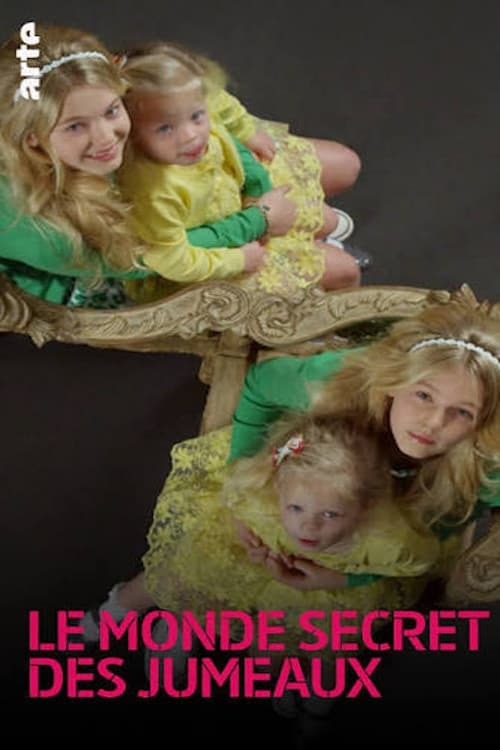Secret Life of Twins poster