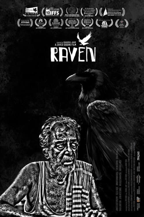 Raven poster