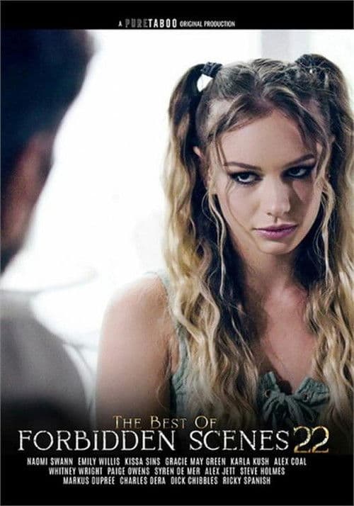The Best Of Forbidden Scenes 22 poster