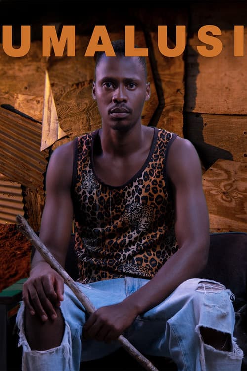 uMalusi poster
