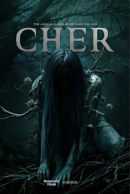 Cher poster