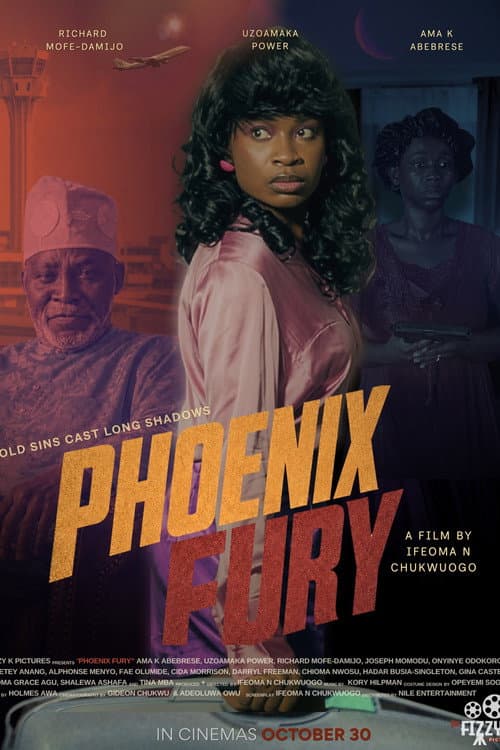 Phoenix Fury poster