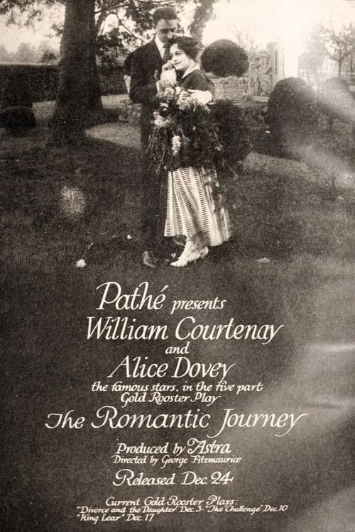 The Romantic Journey poster