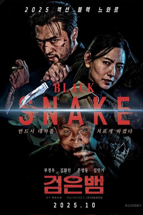 Black Snake poster