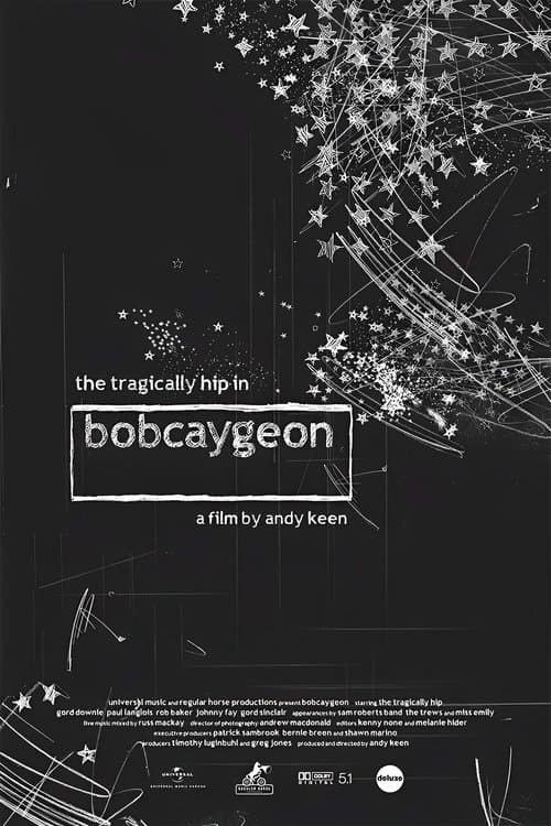 The Tragically Hip In Bobcaygeon poster