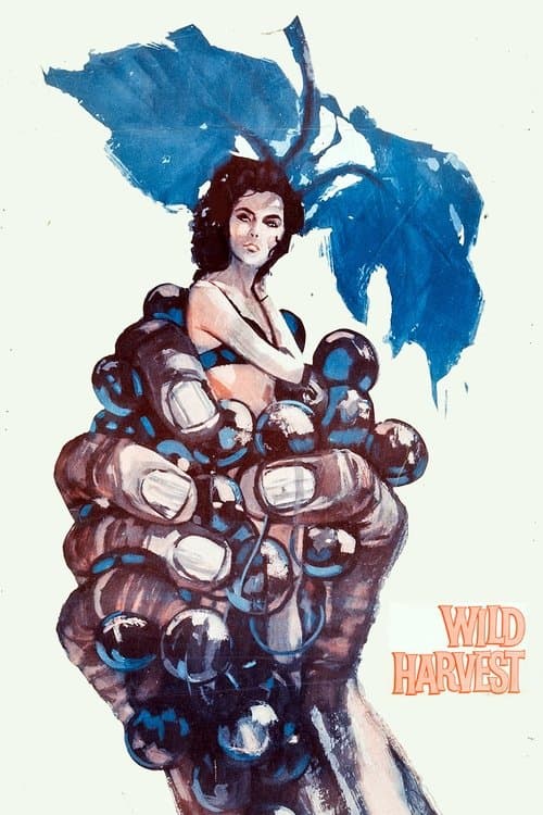 Wild Harvest poster