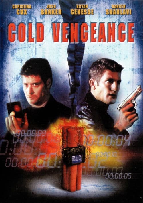 Sometimes a Hero poster