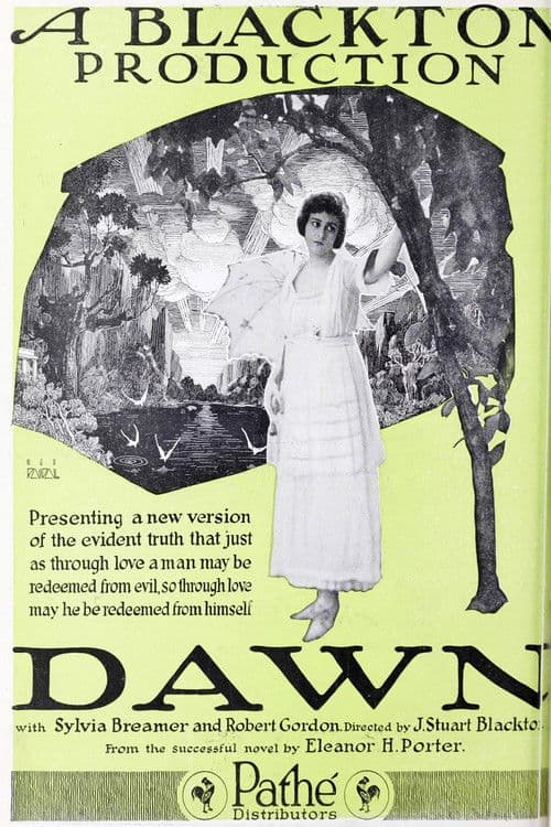 Dawn poster