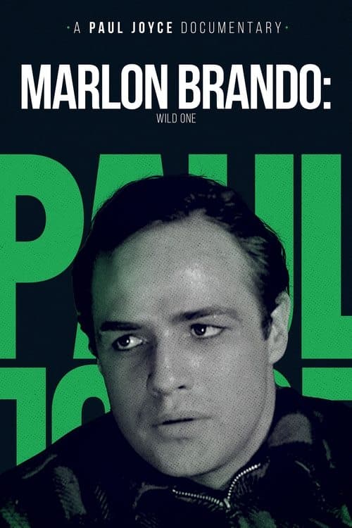 Marlon Brando: The Wild One poster