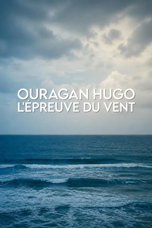 Ouragan Hugo, l'épreuve du vent poster