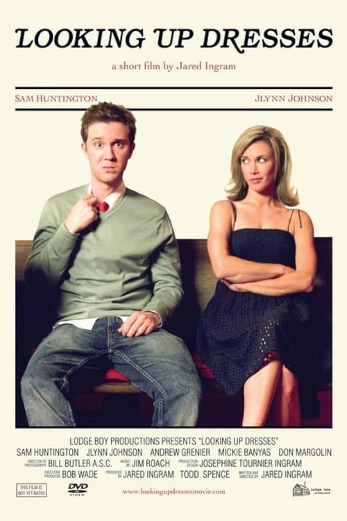 Looking Up Dresses poster