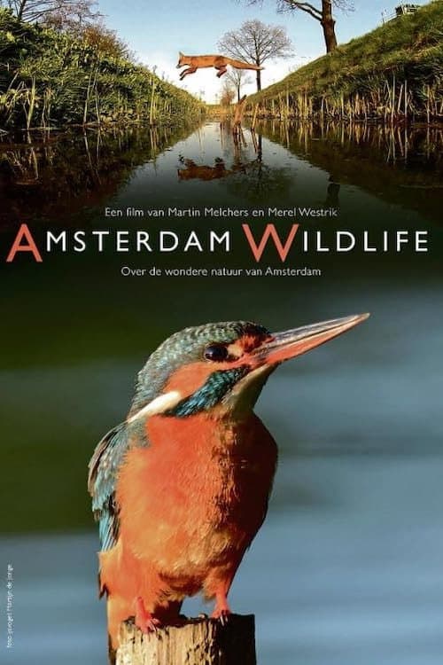 Amsterdam Wildlife poster