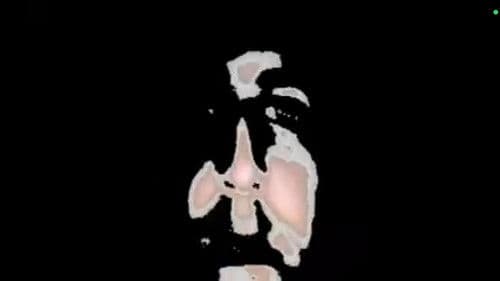 Chapuy the movie poster