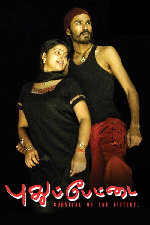 Pudhupettai collection