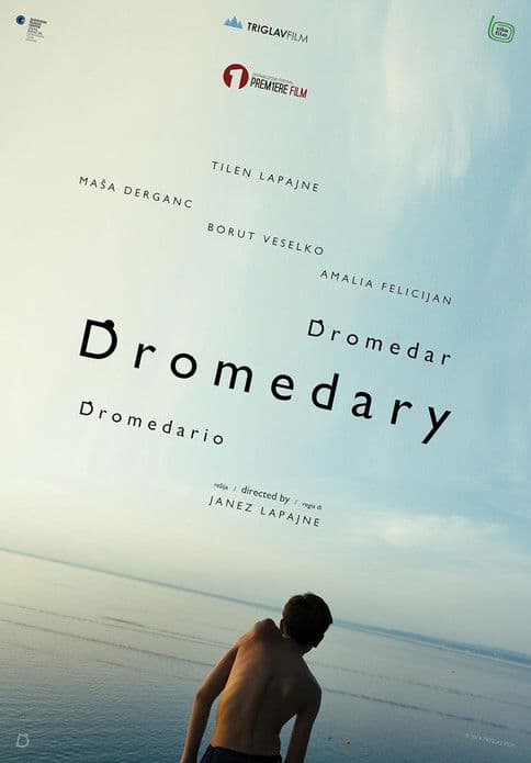Dromedary poster