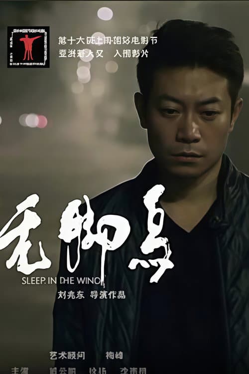 无脚鸟 poster