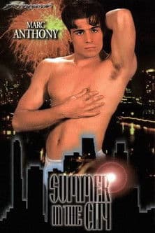Summer in the City poster
