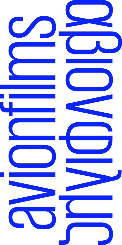 Avion Films