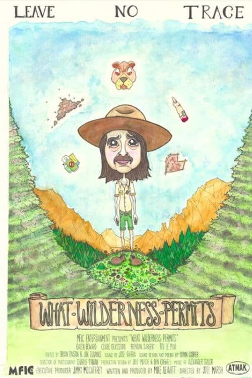 What Wilderness Permits poster