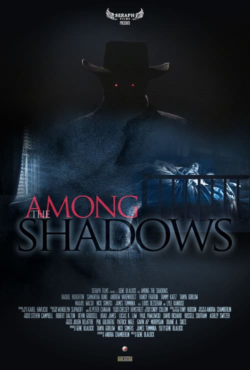 Among The Shadows poster