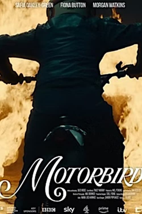 Motorbird poster