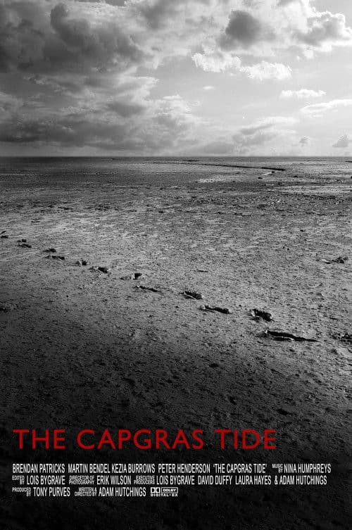 The Capgras Tide poster