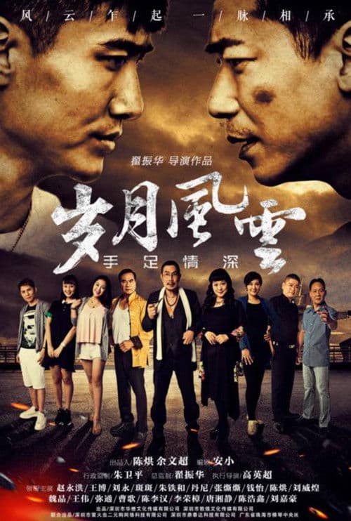 岁月风云之手足情深 poster