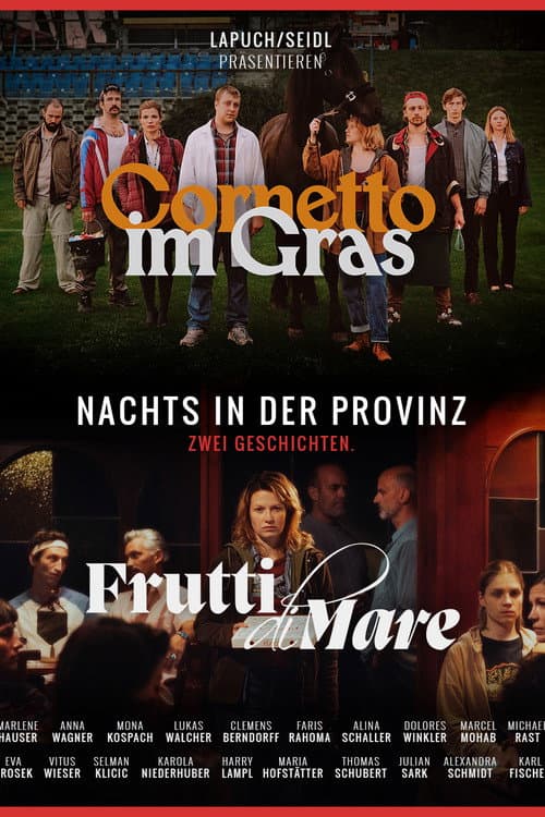 Nachts in der Provinz poster