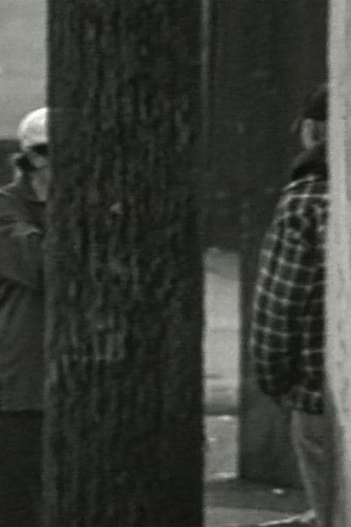 Phoenix Is a Cunning Cunt poster