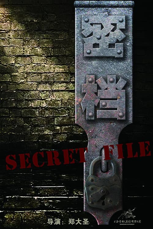 Secret File poster