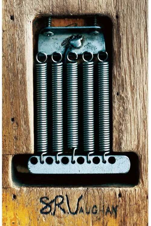 Stevie Ray Vaughan and Double Trouble – One Night In Texas poster