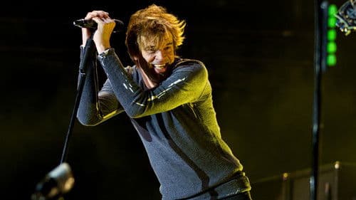 Die Toten Hosen - Rock am Ring poster