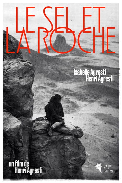 Salt and Rock poster