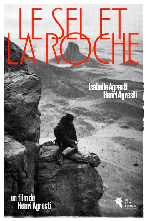 Salt and Rock poster