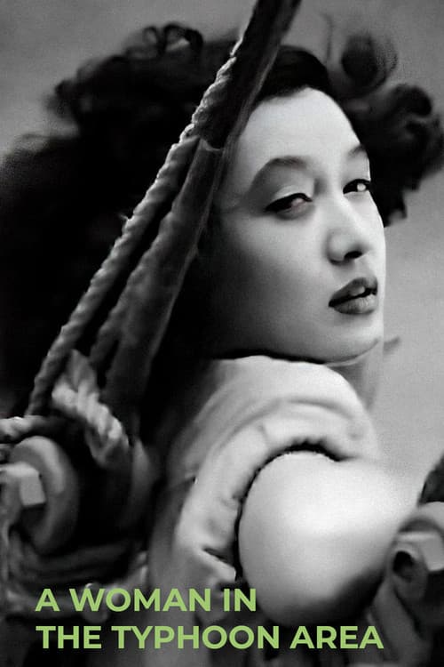 A Woman in the Typhoon Area poster