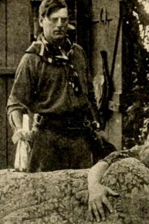 Broncho Billy and the Outlaw's Mother poster