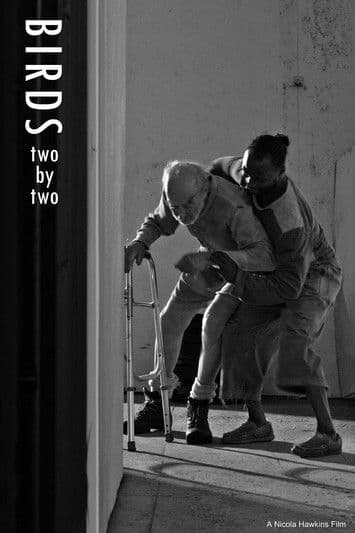 Birds Two by Two poster