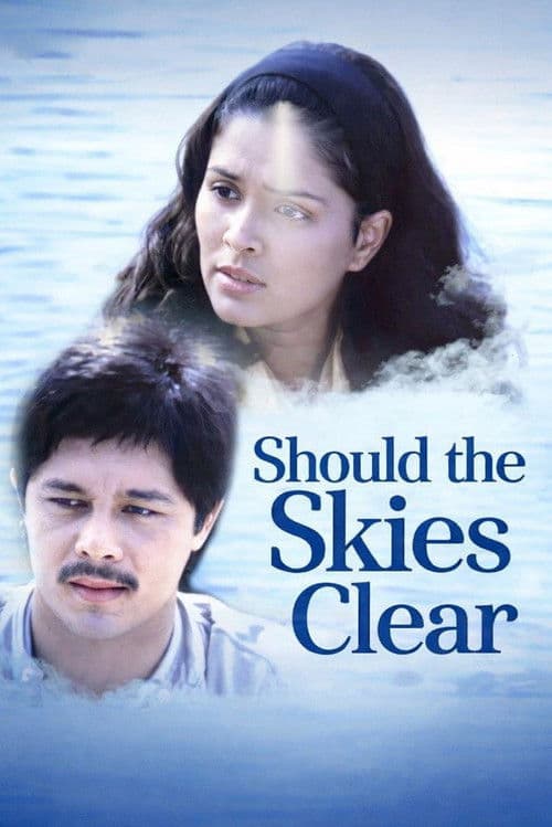 Should the Skies Clear poster